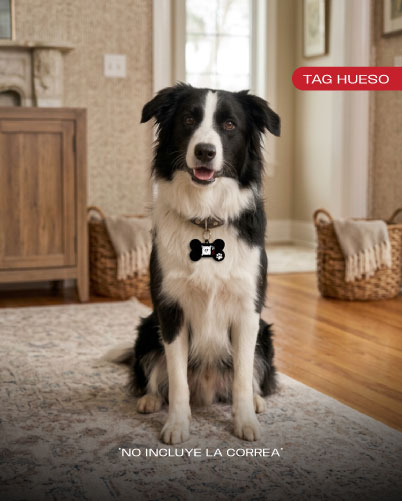 Tag Perro 3